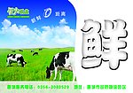 鲜奶