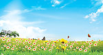 山花原野图