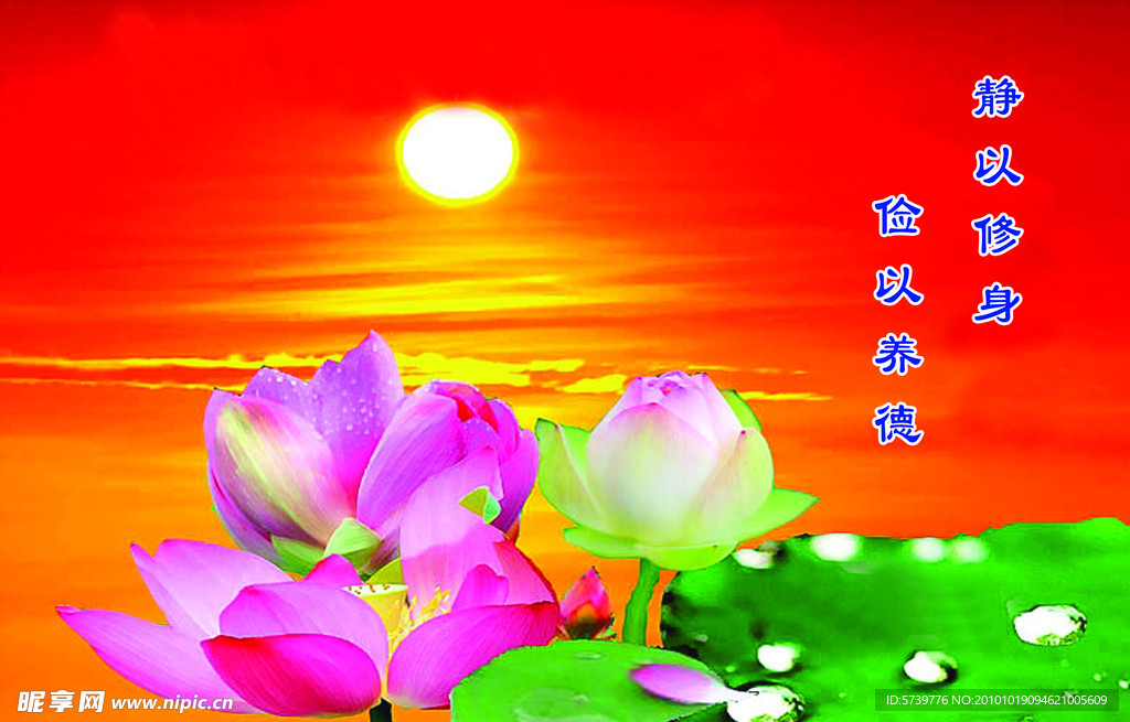 名人名言
