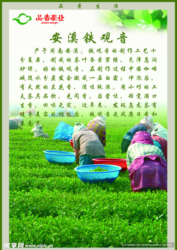 品普茶业 安溪铁观音 绿色 电梯贴画