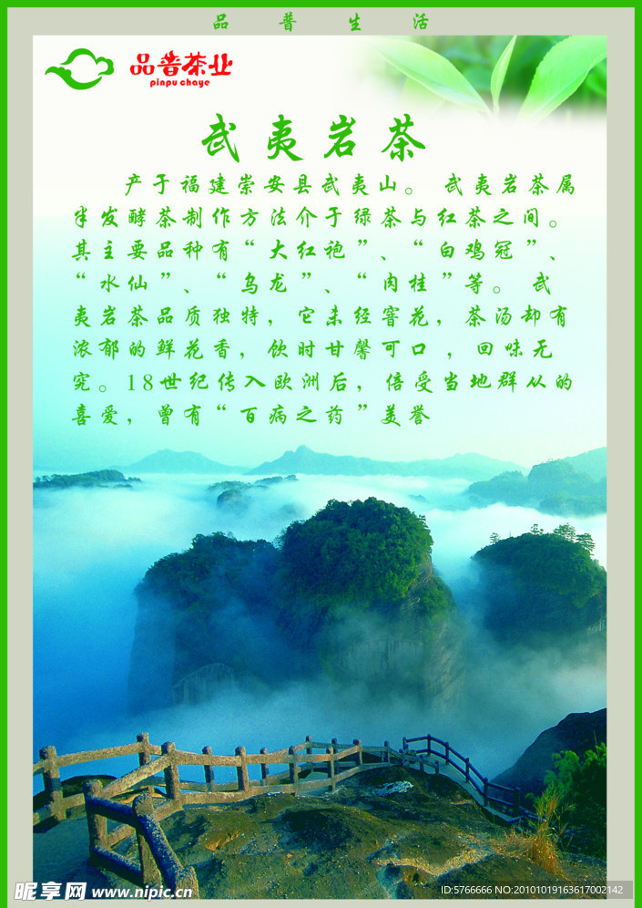 品普茶业 武夷名茶