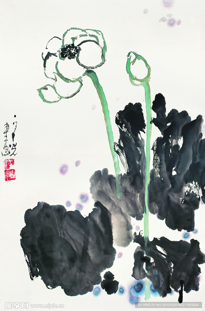 国画荷花