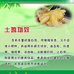 菜简介 土鸡