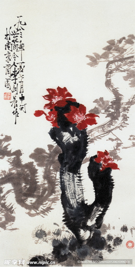 仙人掌