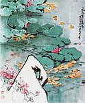 睡莲