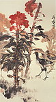 鸡冠花