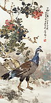 孔雀