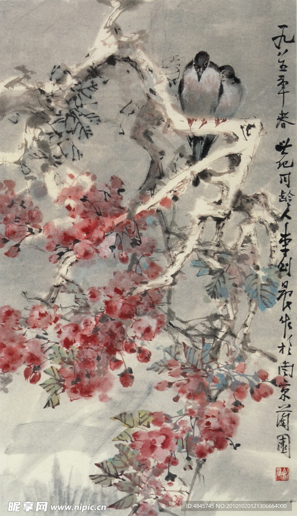 海棠