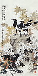喜鹊白菊