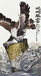 飞鹰