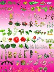 花草大全