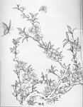 白描 花卉 工笔 花草 鸟