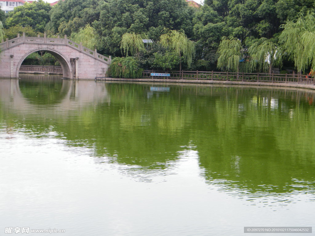 上海高桥公园湖边