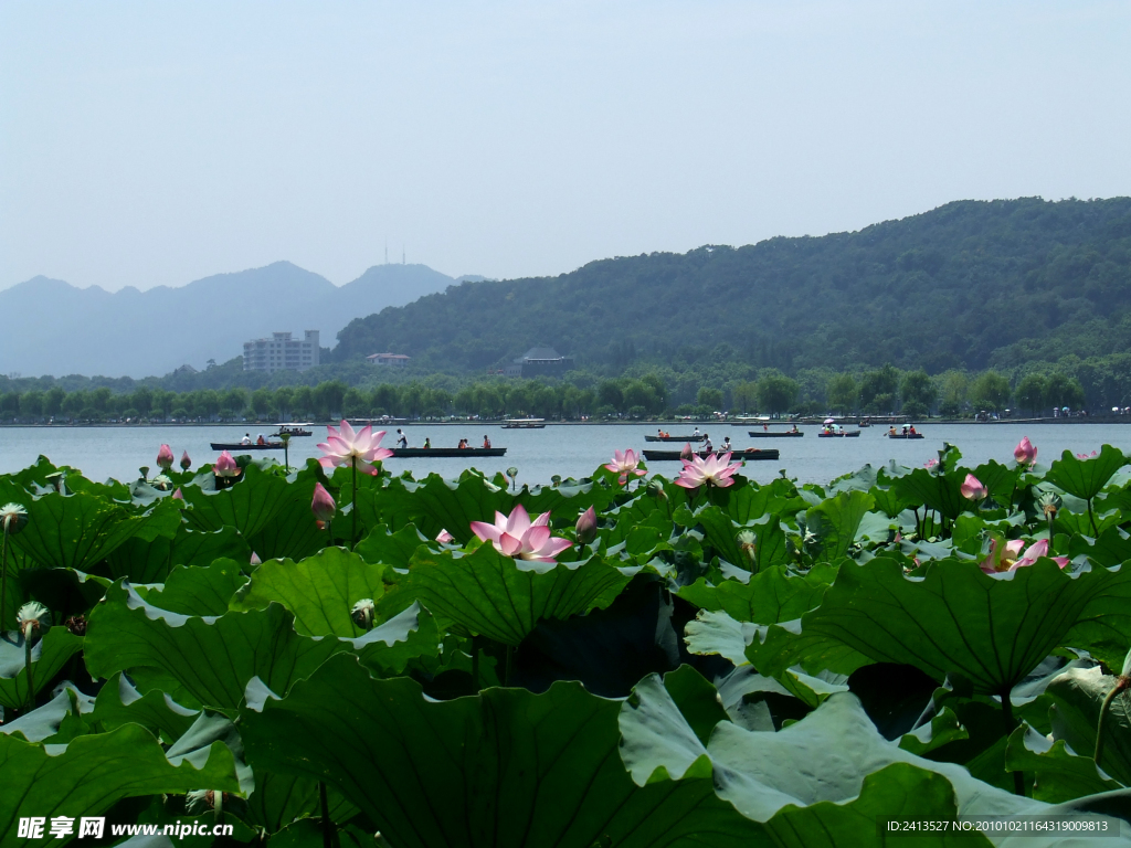 西湖湖畔