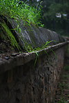 圆明园小景