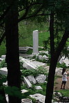 圆明园小景
