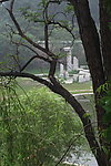 圆明园小景
