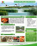 绿色河蟹网页设计