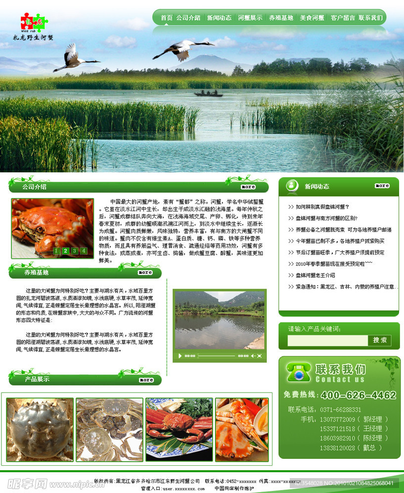 绿色河蟹网页设计