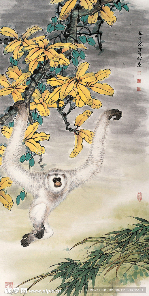 白猿腾越