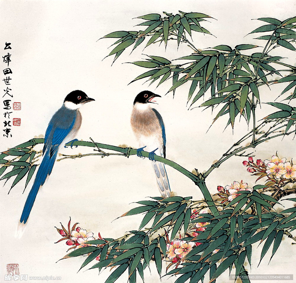 山竹双禽