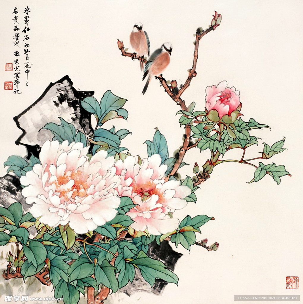富贵鸟