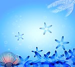 海星 移门