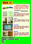 新趋势墙艺