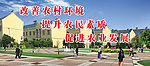 新农村
