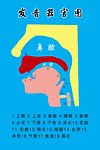 发音器官图