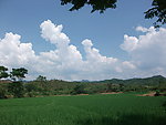 田园风光