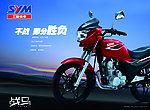 三阳摩托车 摩托车 三阳战马