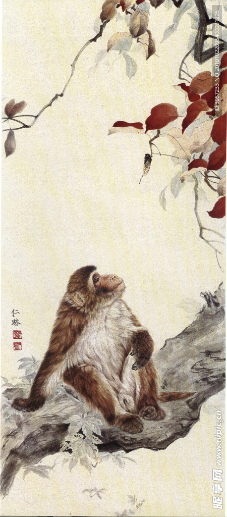 仰望