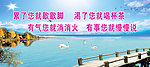 渴了喝杯茶