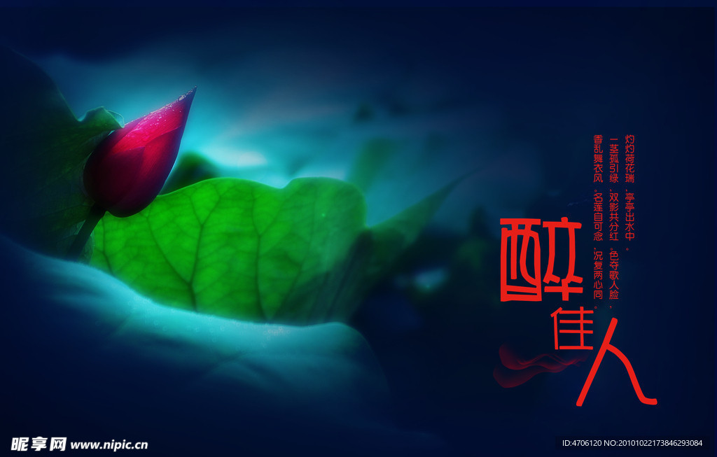 荷花
