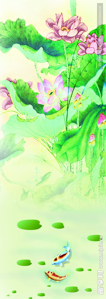 荷花鱼