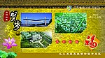 开发区明信片