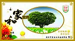 劳动局贺卡