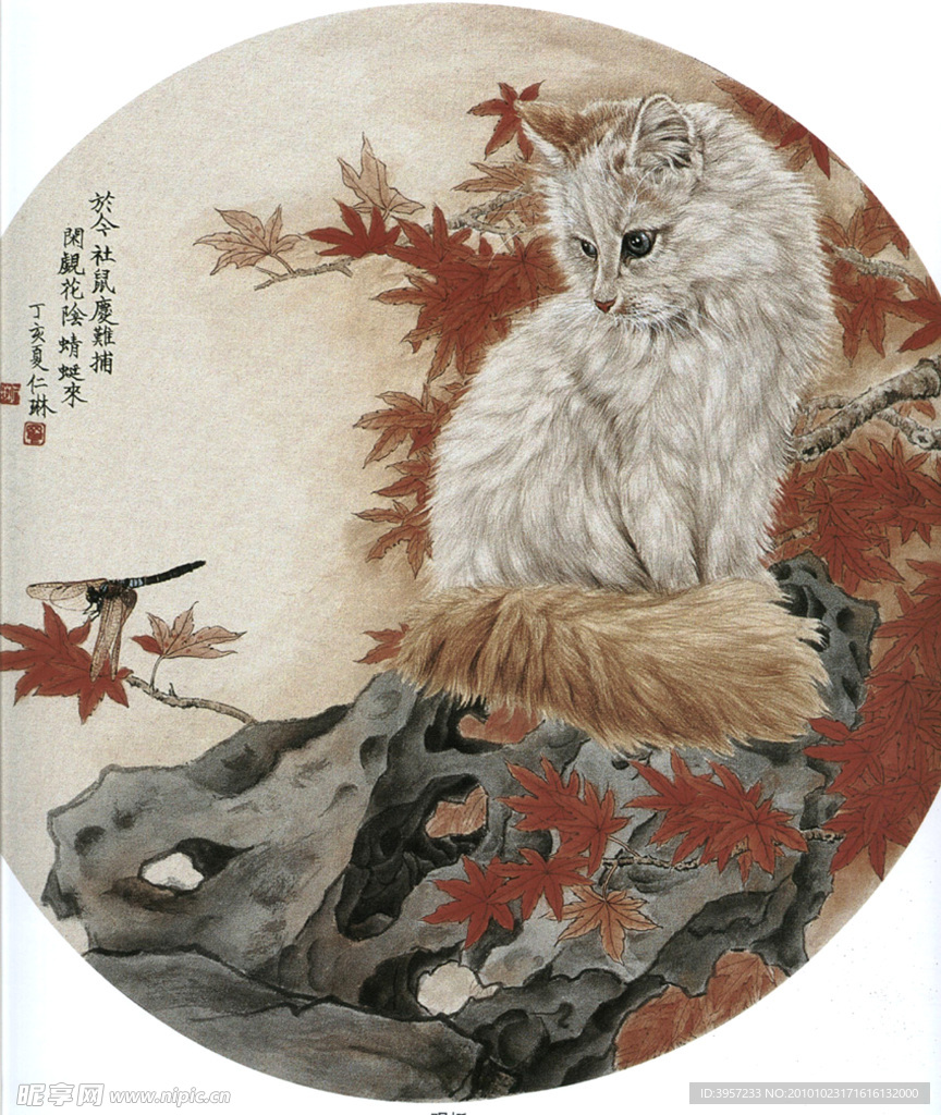 好奇