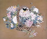 花蝶