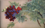 蜂花