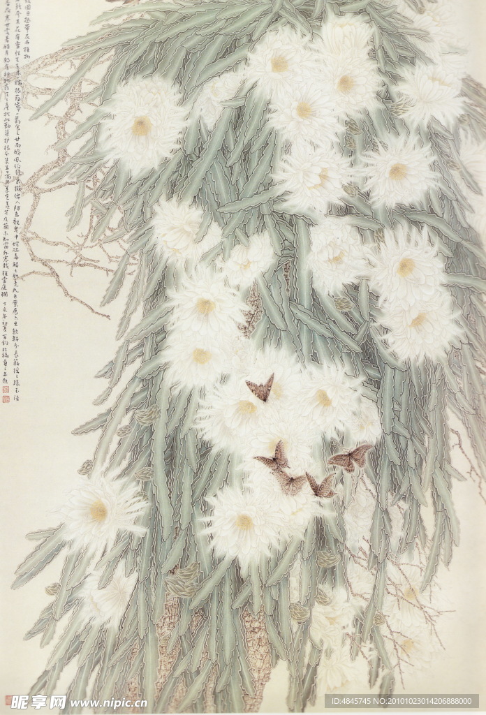 花问之三
