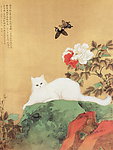 富贵耄耋