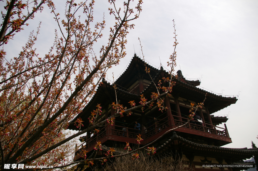 青龙寺