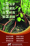 企业文化 树