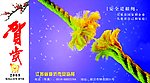 安监局明信片