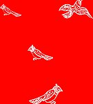 图案