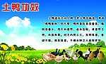 菜简介
