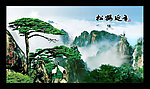 松鹤延年