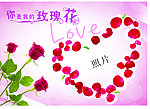照片相框 精美玫瑰